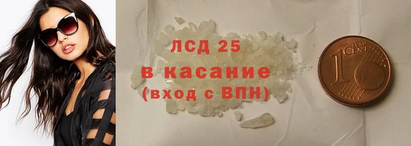прущие грибы Наволоки