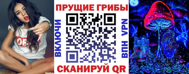 Галлюциногенные грибы MAGIC MUSHROOMS  магазин продажи   мега tor  Приморско-Ахтарск 